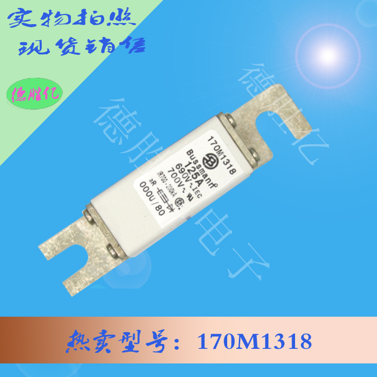 170M1318.jpg 170M1318.jpg