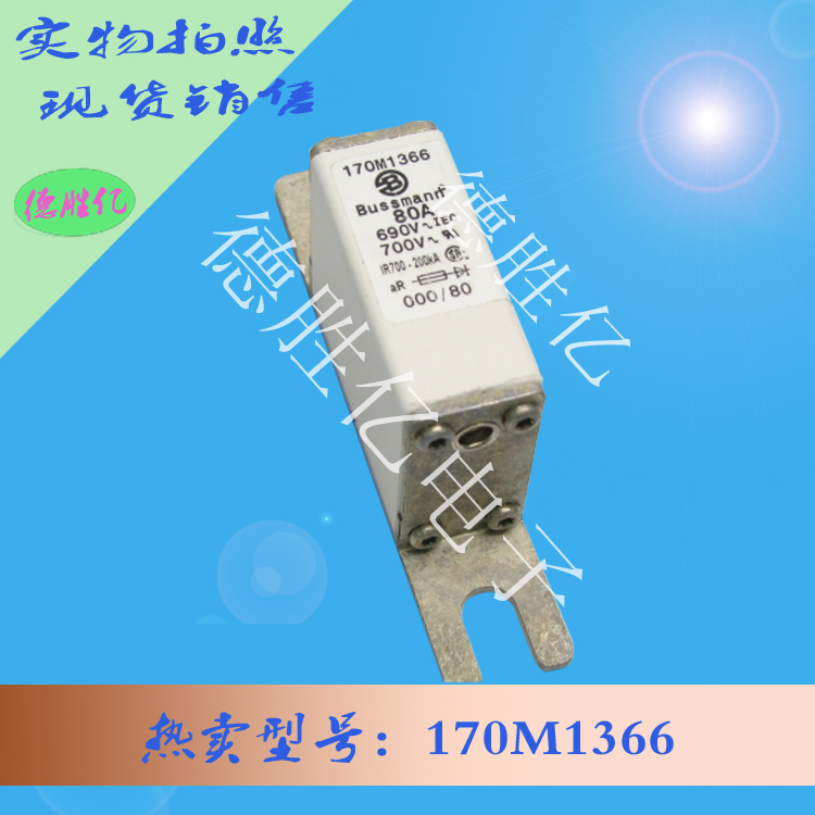 170M1366.jpg 170M1366.jpg