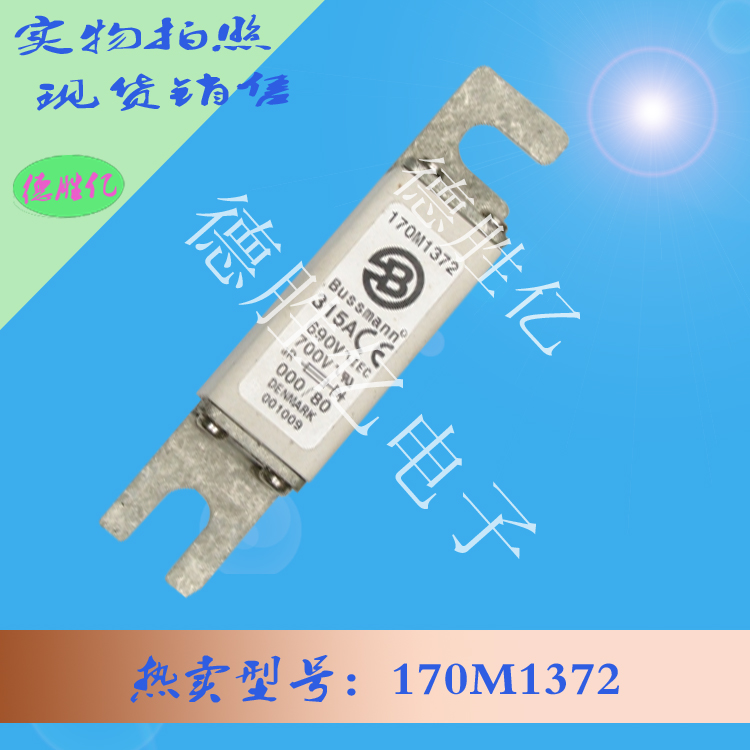 170M1372.jpg 170M1372.jpg