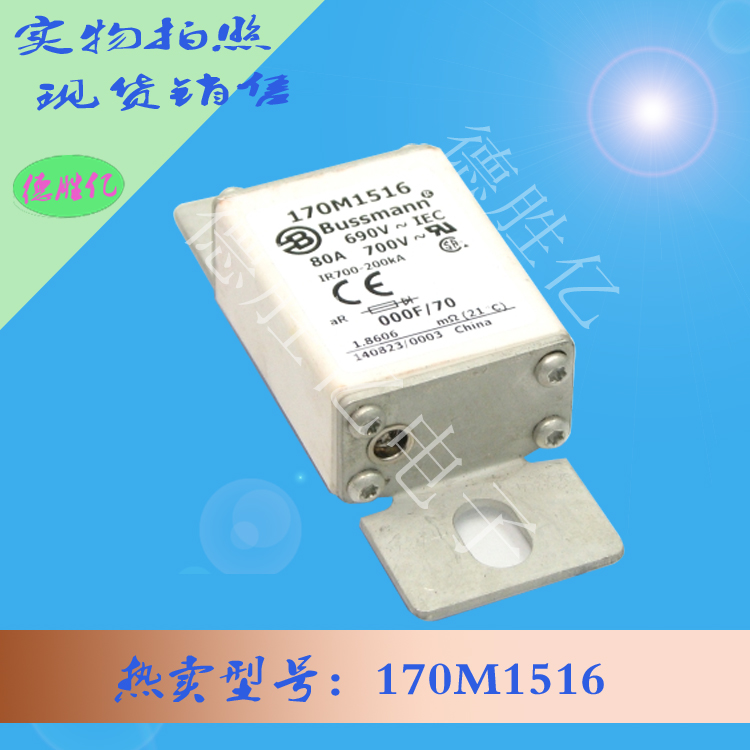 170M1516.jpg 170M1516.jpg