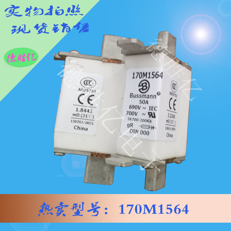 170M1564.jpg 170M1564.jpg