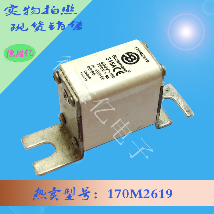 170M2619.jpg 170M2619.jpg