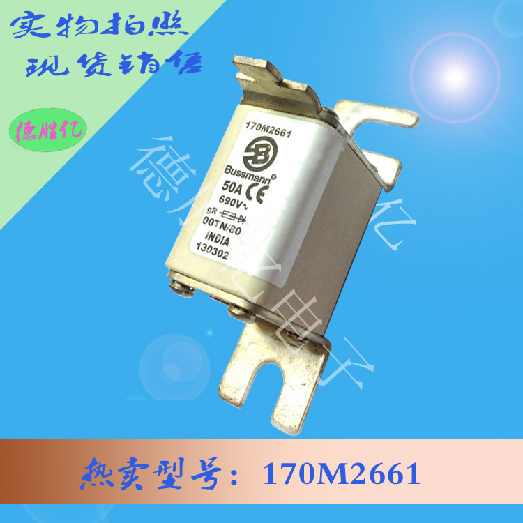 170M2661.jpg 170M2661.jpg