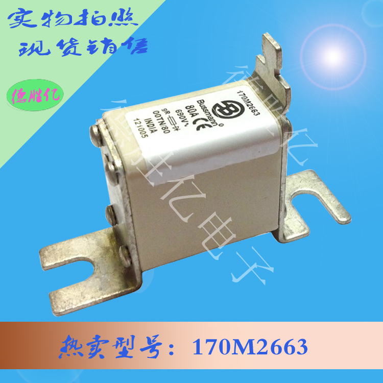 170M2663.jpg 170M2663.jpg