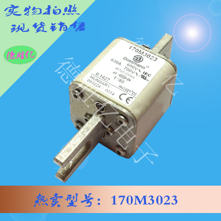 170M3023.jpg 170M3023.jpg