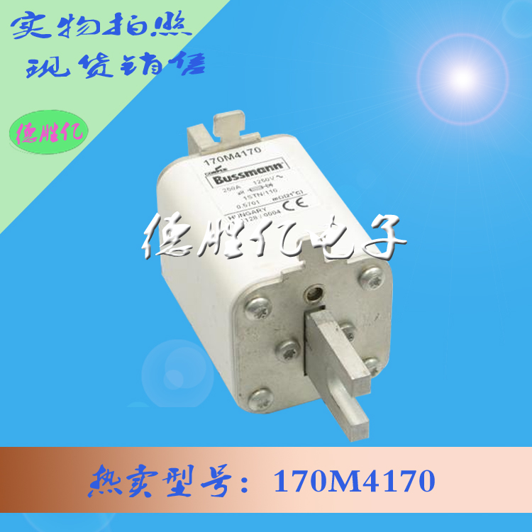 170M4170.jpg 170M4170.jpg