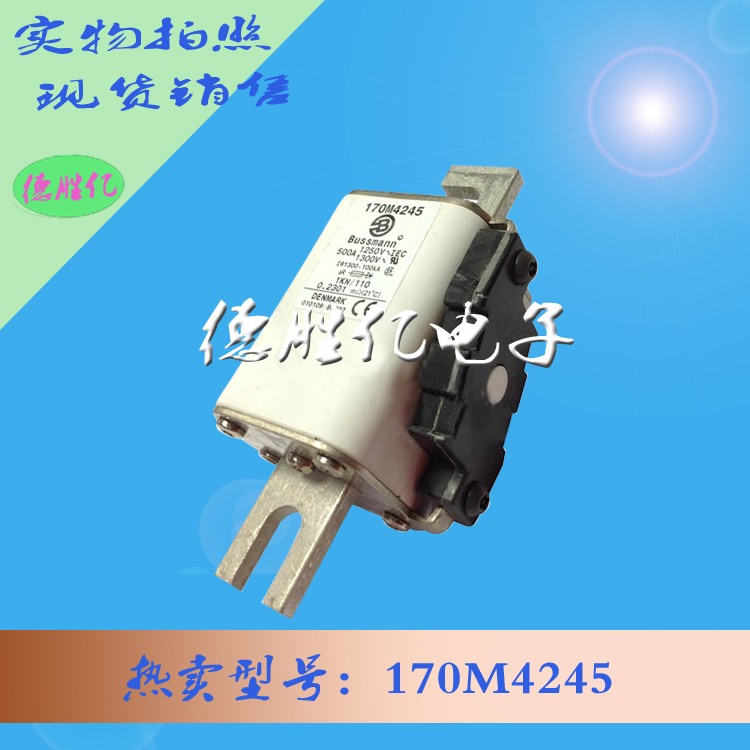 170M4245.jpg 170M4245.jpg