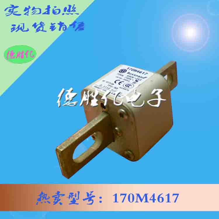 170M4617.jpg 170M4617.jpg