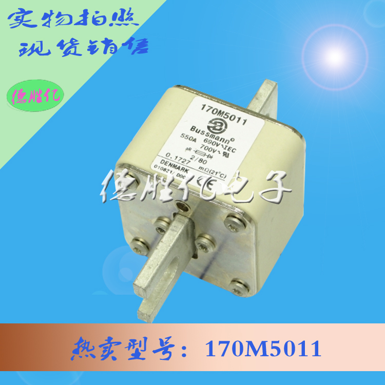 170M5011.jpg 170M5011.jpg