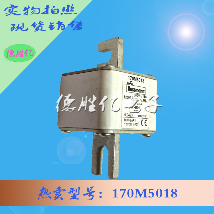 170M5018.jpg 170M5018.jpg