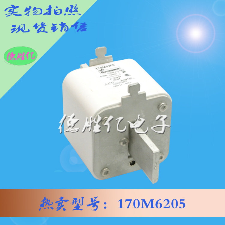 170M6205.jpg 170M6205.jpg