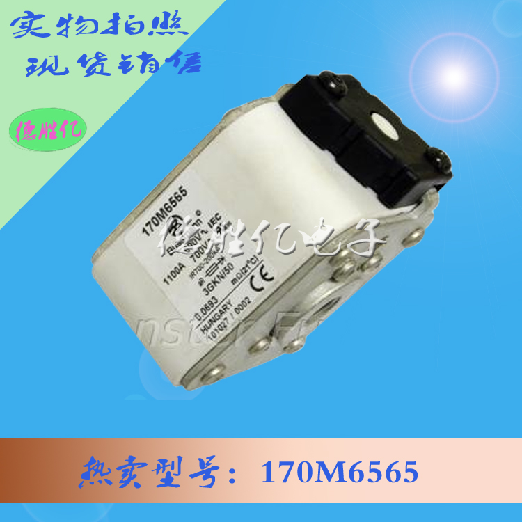 170M6565.jpg 170M6565.jpg