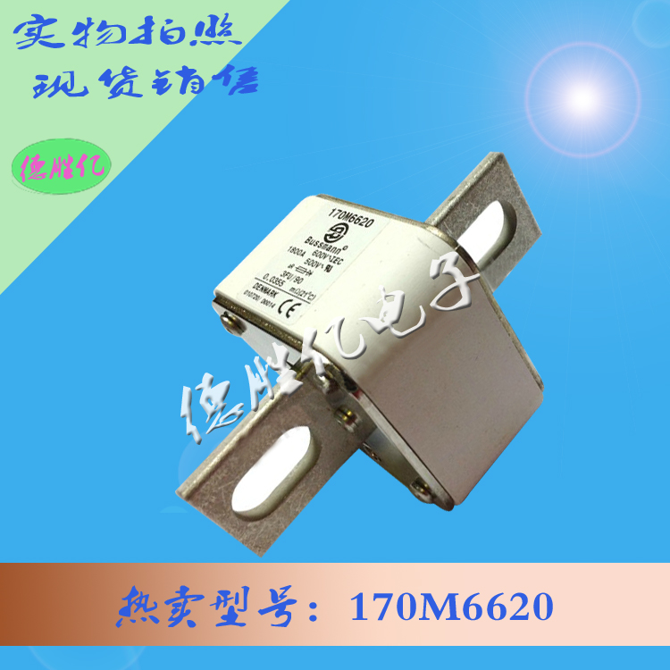 170M6620.jpg 170M6620.jpg