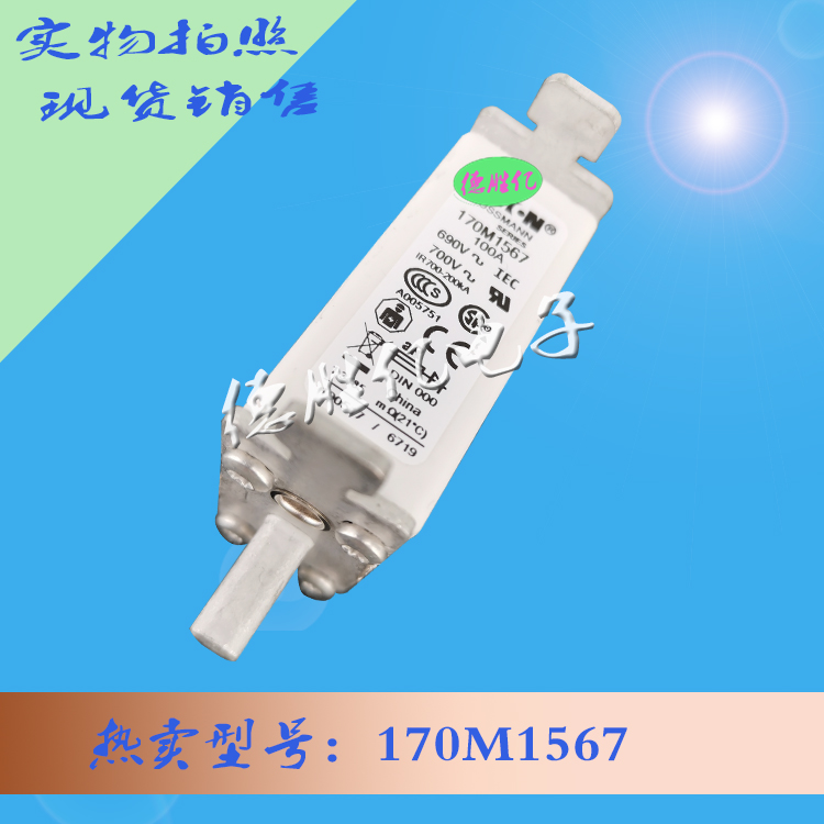 170M1567.jpg 170M1567.jpg