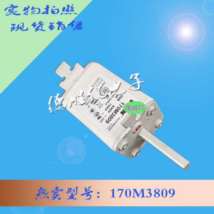 170M3809.jpg 170M3809.jpg