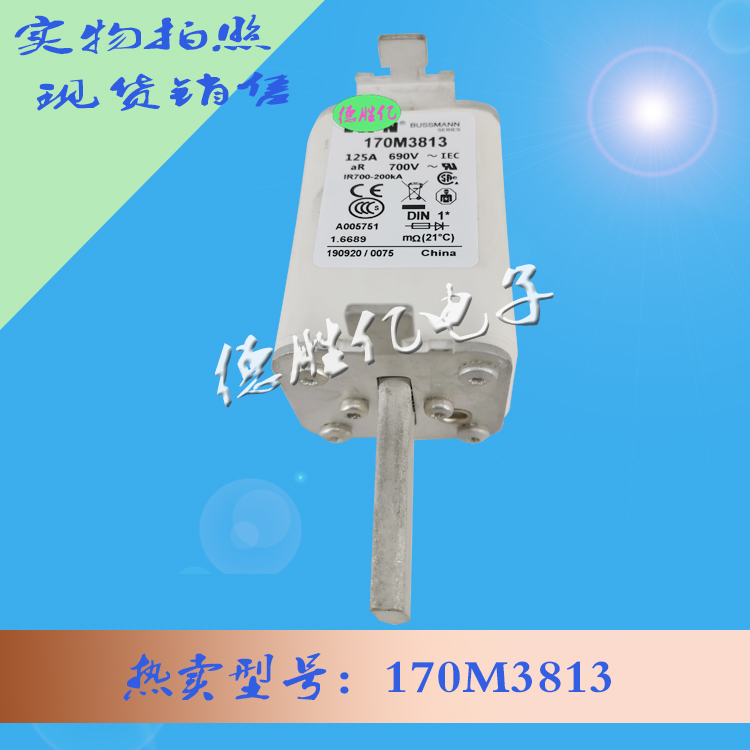 170M3813.jpg 170M3813.jpg