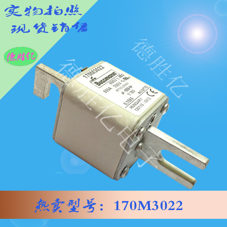 170M3022.jpg 170M3022.jpg