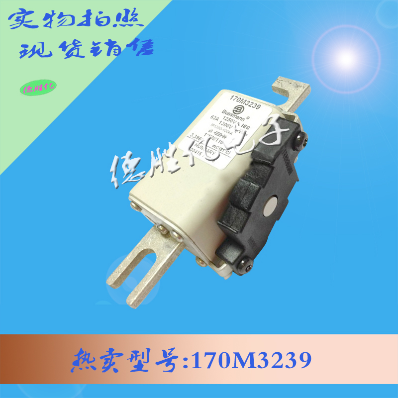 170M3236.jpg 170M3236.jpg