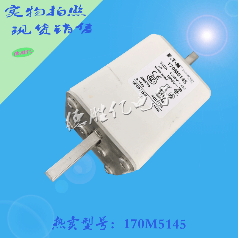 170M5145.gif 170M5145.gif